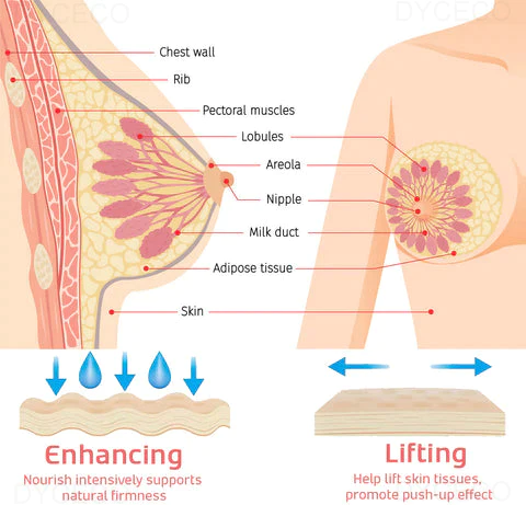 BROWSLUV™ Breast Enhancement Patch (10 Patches)